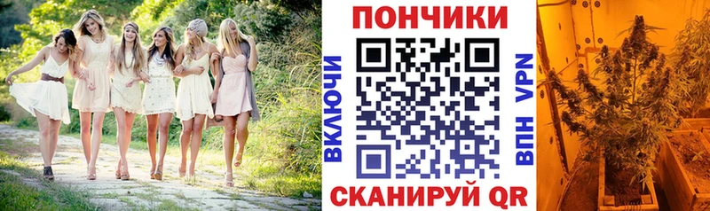Канабис Ganja Новое Девяткино